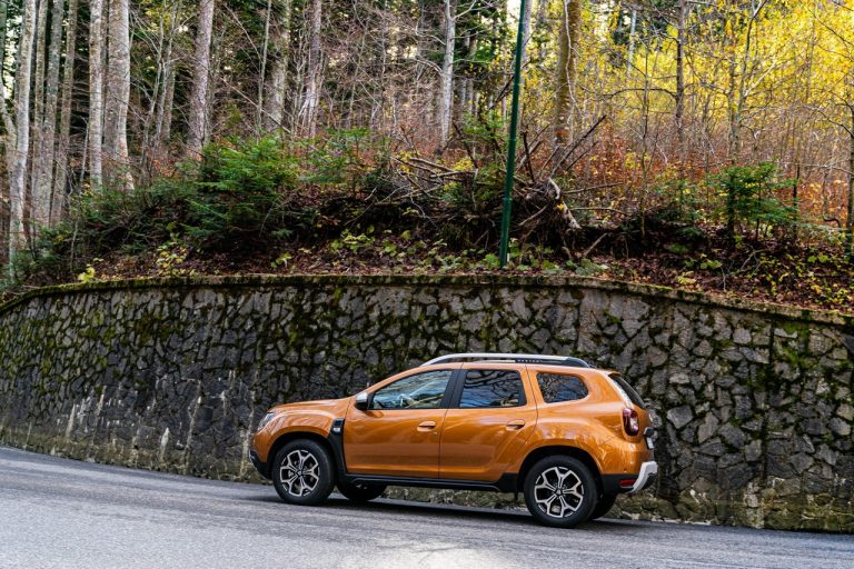 Dacia Duster TCe 100 2019: immagini ufficiali