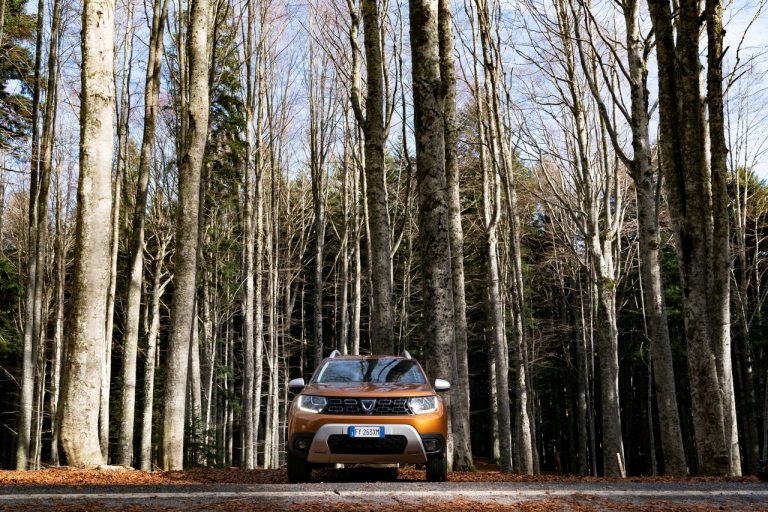 Dacia Duster TCe 100 2019: immagini ufficiali