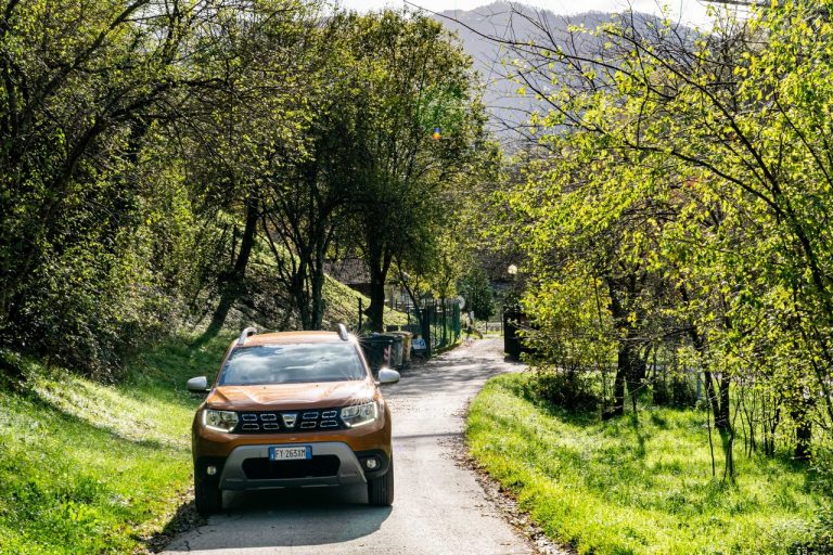 Dacia Duster TCe 100 2019: immagini ufficiali