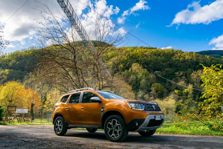 Dacia Duster TCe 100 2019: immagini ufficiali