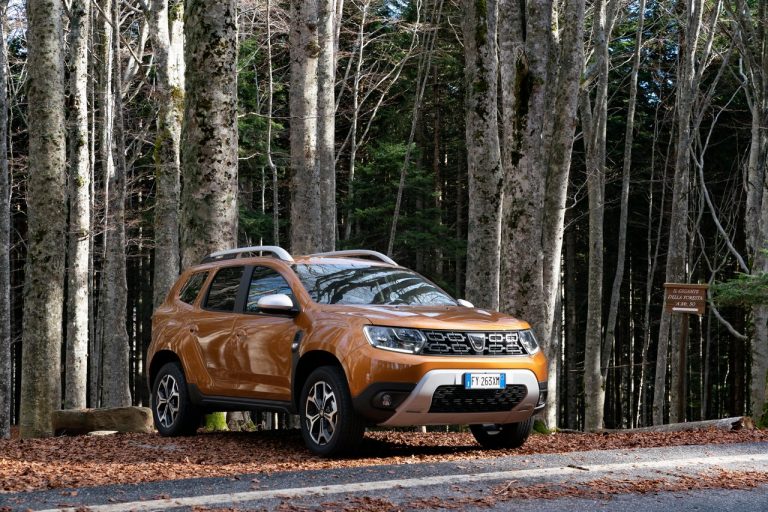 Dacia Duster TCe 100 2019: immagini ufficiali