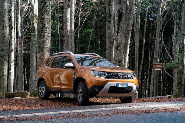 Dacia Duster TCe 100 2019: immagini ufficiali