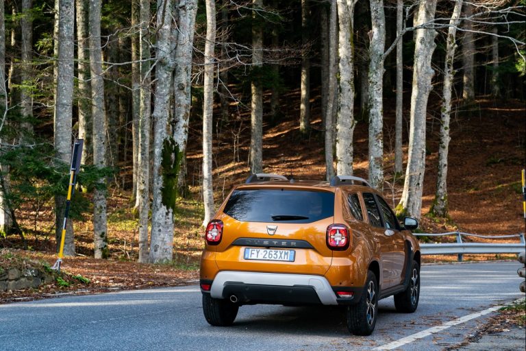 Dacia Duster TCe 100 2019: immagini ufficiali