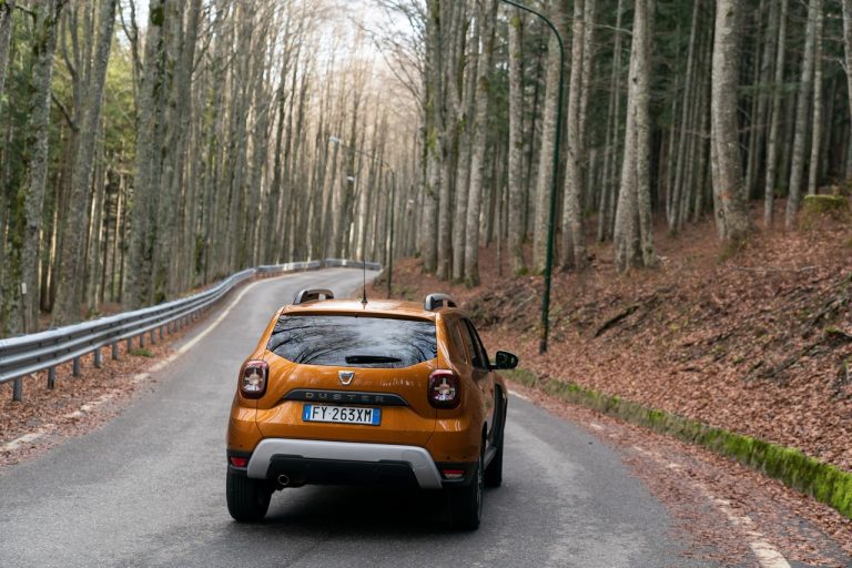 Dacia Duster TCe 100 2019: immagini ufficiali